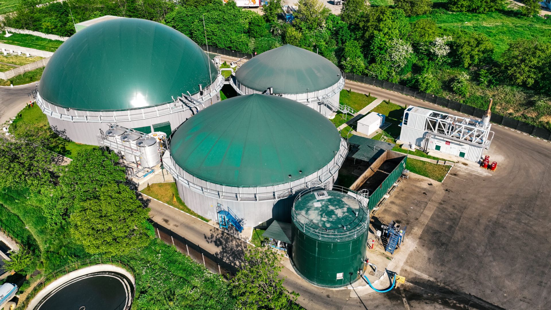 Biogas: high potential, sustainable green energy, yet very little exploited in Romania
